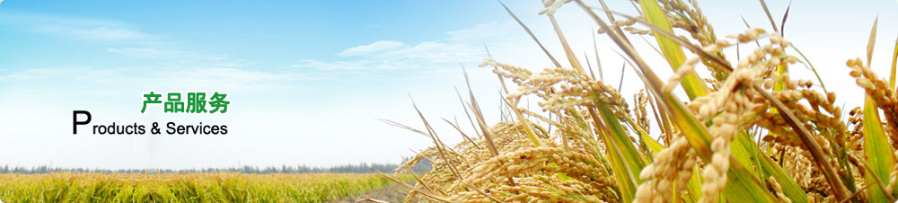 星空体育app下载入口